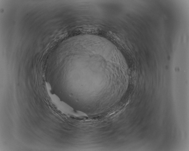 X0000083560913200702231559