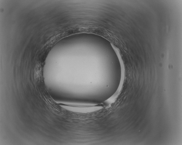 X0000083560914200702231559