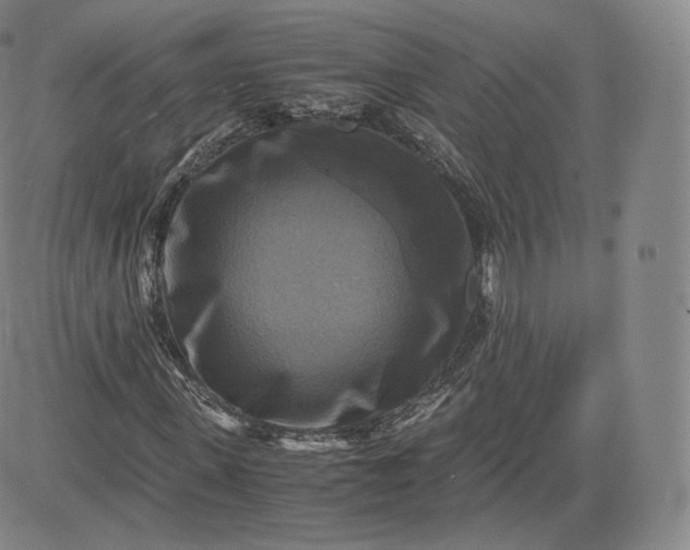 X0000083560915200702231559