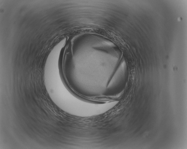 X0000083560916200702231559