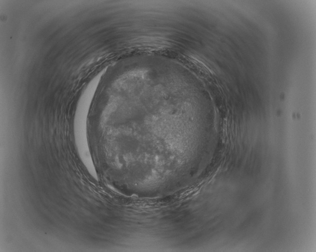 X0000083560917200702231559