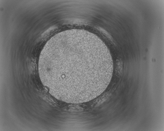 X0000083560918200702231559