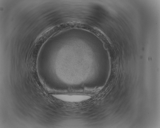 X0000083560919200702231559