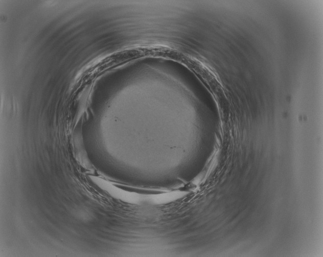 X0000083560920200702231559