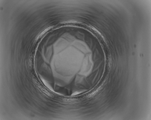 X0000083560921200702231559