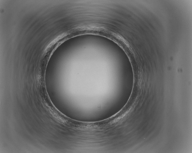 X0000083560922200702231559