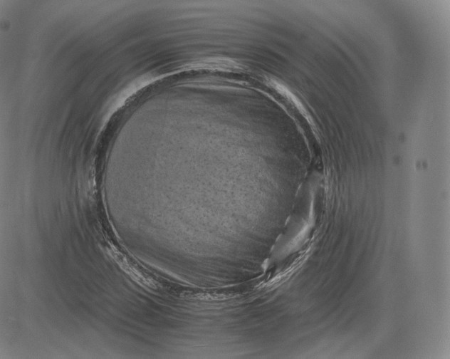 X0000083560923200702231559