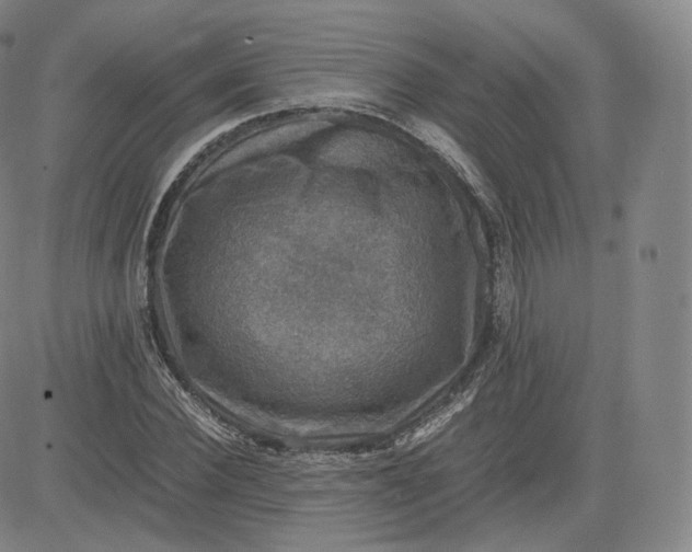 X0000083560924200702231559