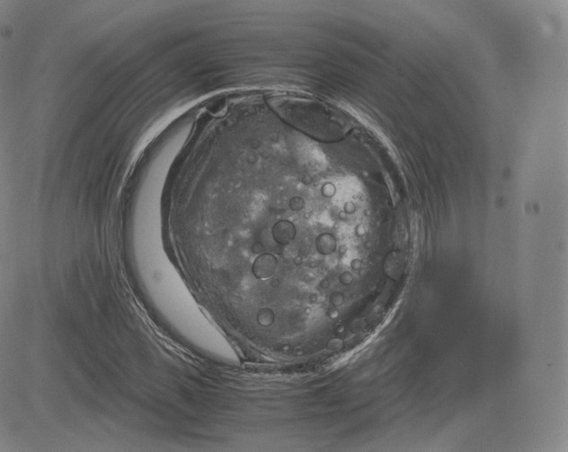 X0000083560925200702231559