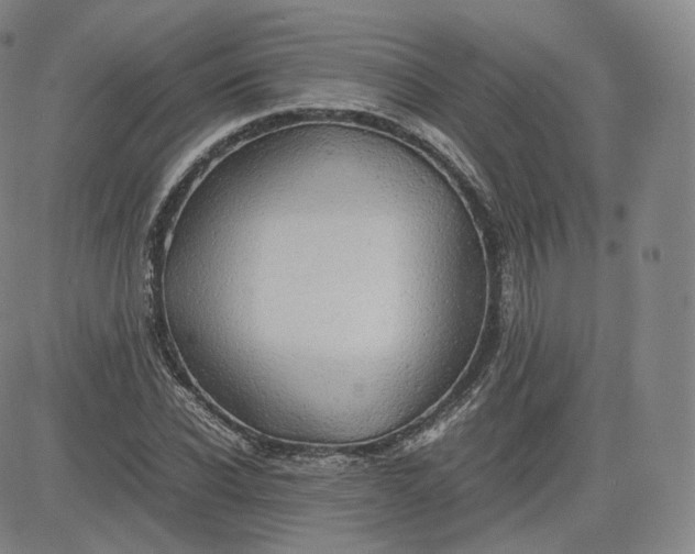 X0000083560926200702231559