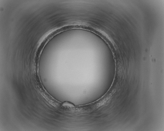 X0000083560927200702231559