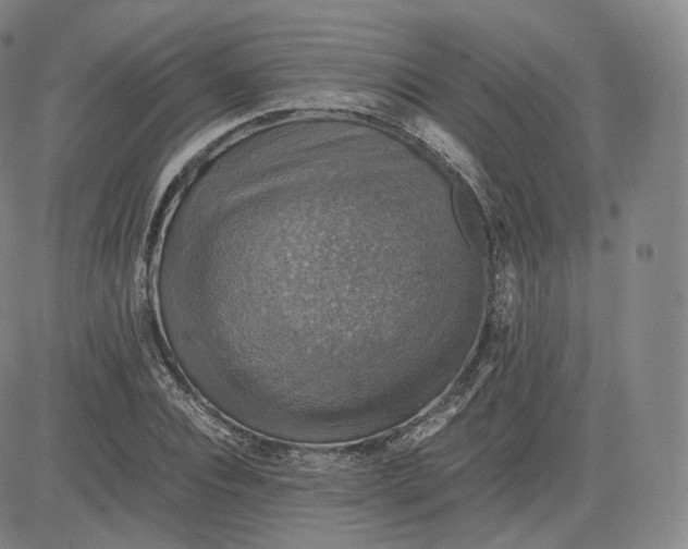 X0000083560928200702231559