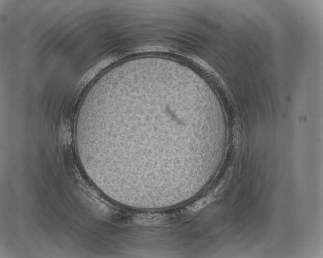 X0000083560929200702231559