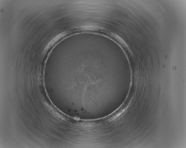 X0000083560930200702231559