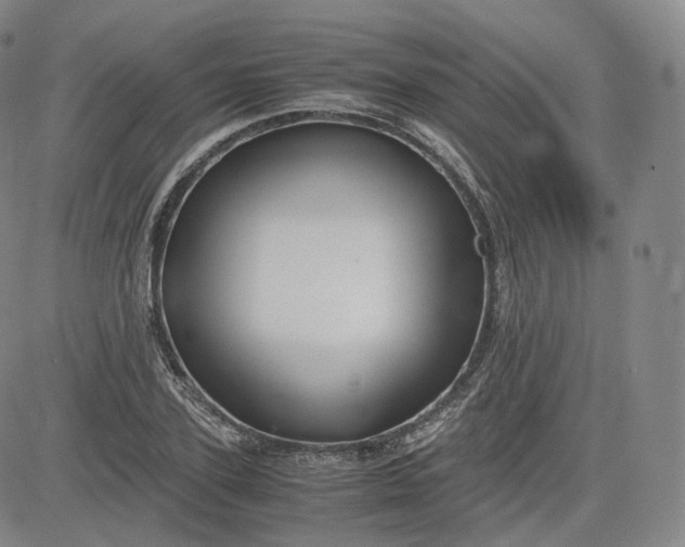 X0000083560931200702231559