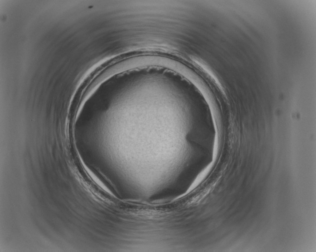 X0000083560932200702231559