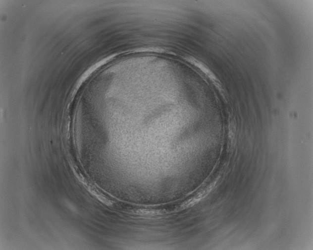 X0000083560933200702231559