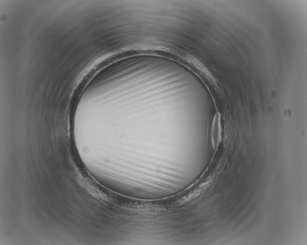 X0000083560934200702231559