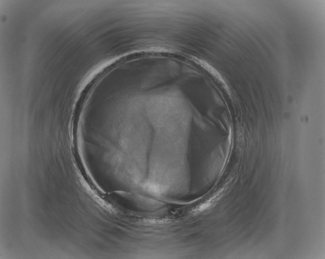 X0000083560935200702231559