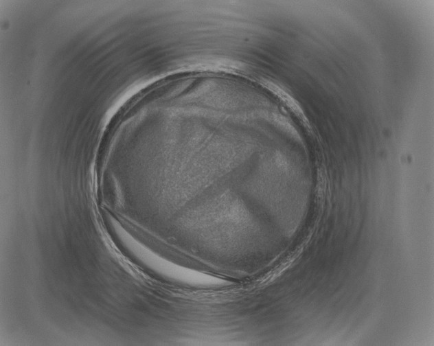 X0000083560936200702231559