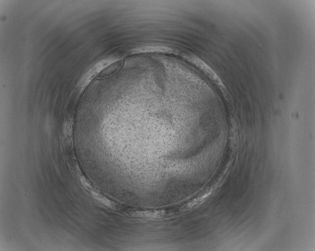 X0000083560937200702231559