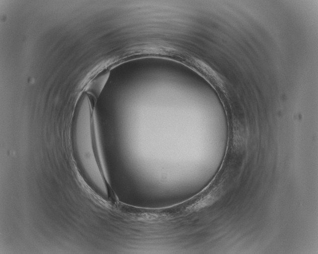 X0000083560938200702231559