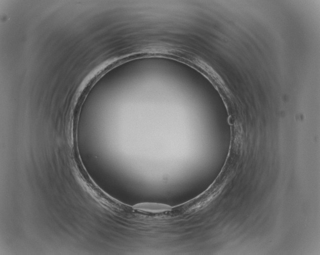 X0000083560939200702231559