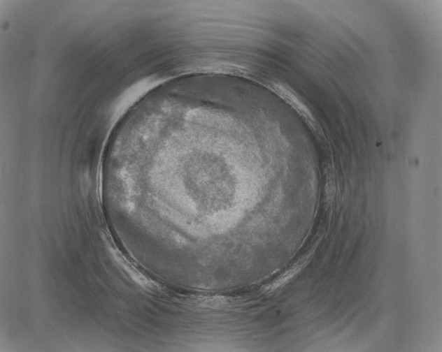 X0000083560940200702231559