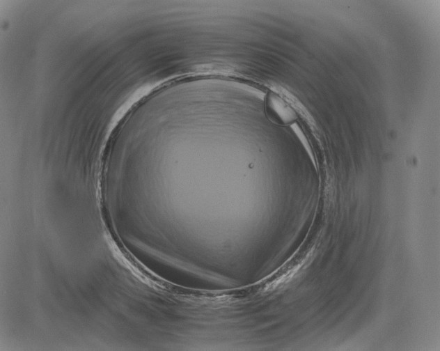 X0000083560941200702231559