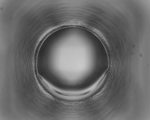 X0000083560942200702231600