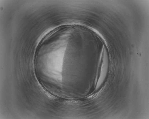 X0000083560943200702231600