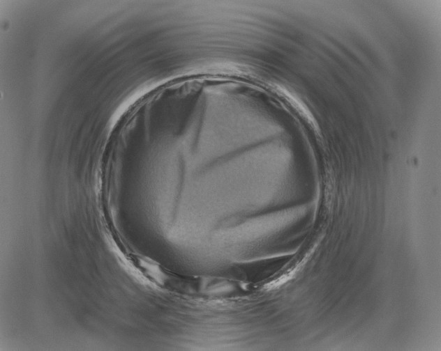 X0000083560944200702231600