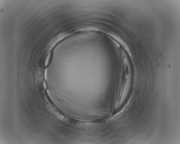 X0000083560945200702231600