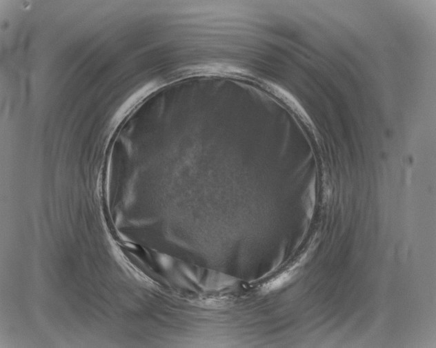 X0000083560946200702231600