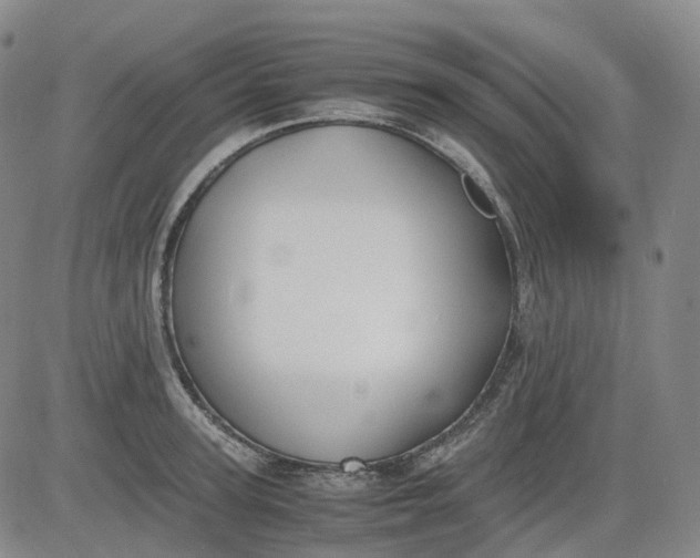 X0000083560947200702231600