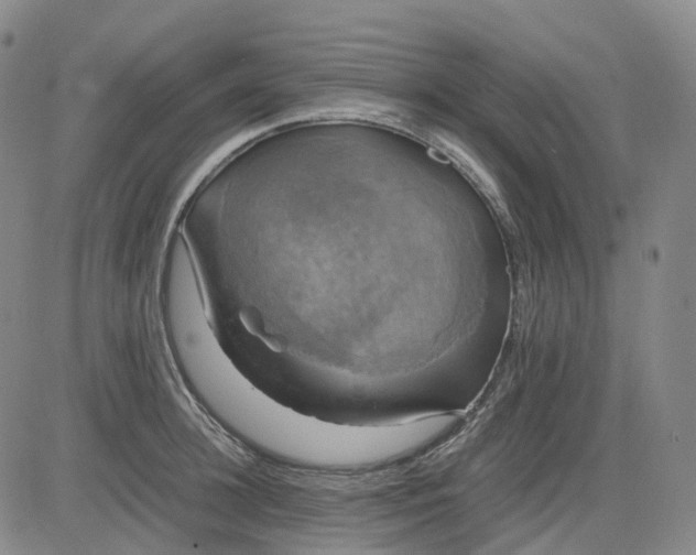 X0000083560948200702231600