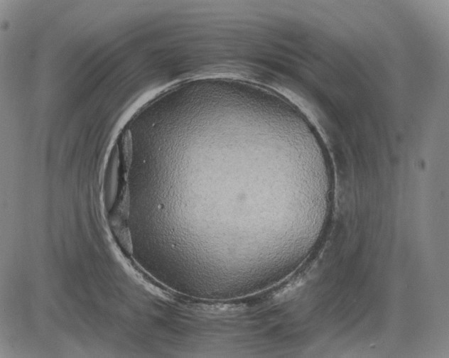 X0000083560949200702231600