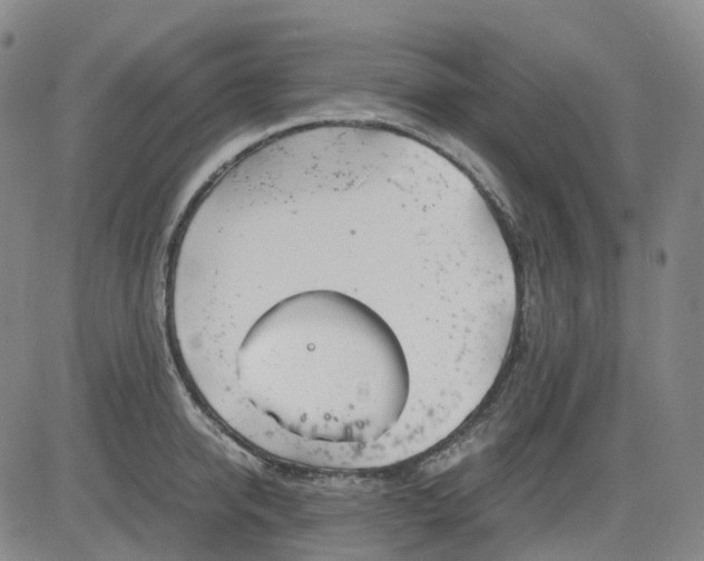 X0000083560950200702231600