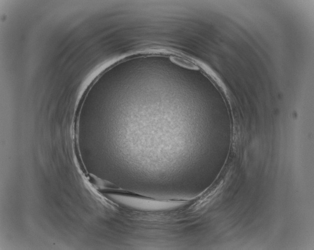 X0000083560951200702231600