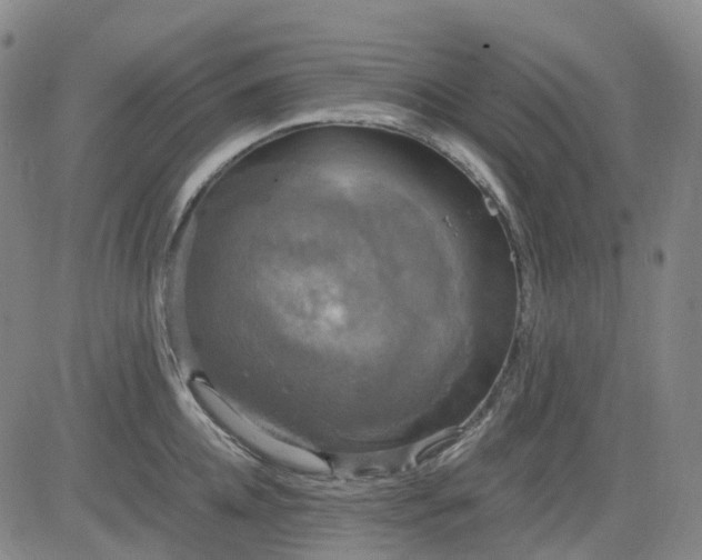 X0000083560952200702231600