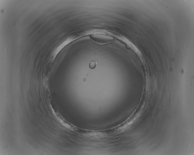 X0000083560953200702231600