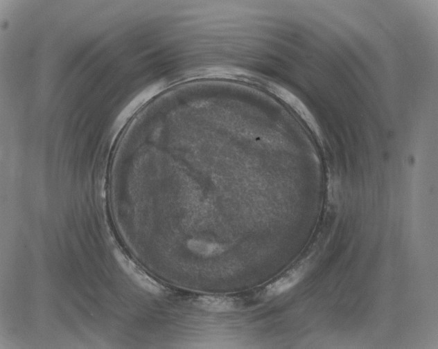 X0000083560954200702231600