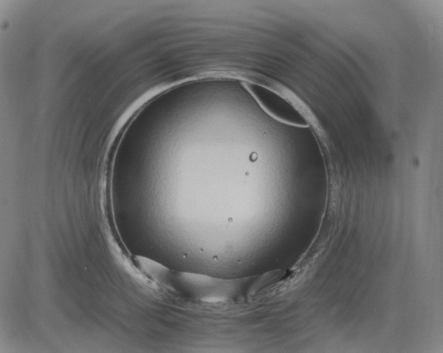 X0000083560955200702231600