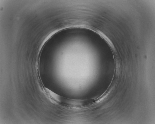 X0000083560956200702231600