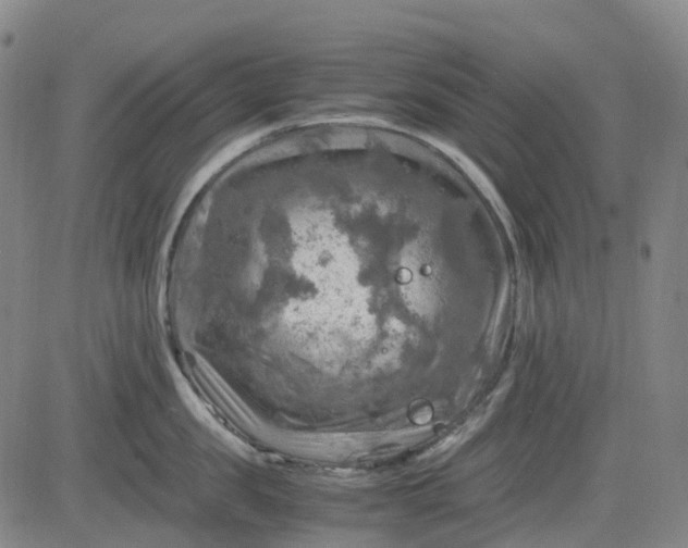 X0000083560957200702231600