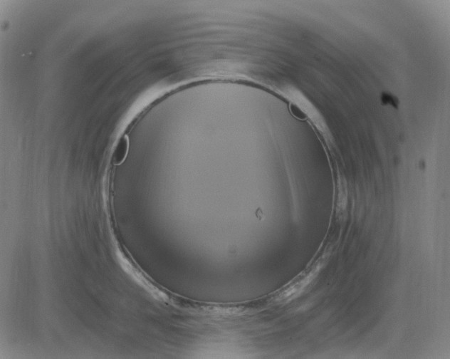 X0000083560958200702231600