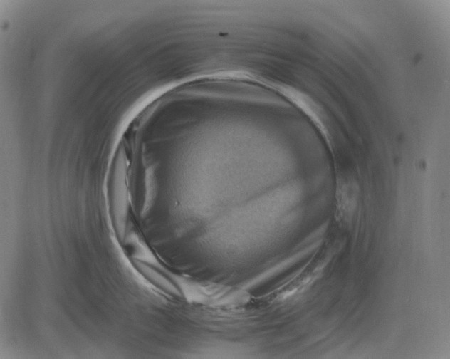 X0000083560959200702231600