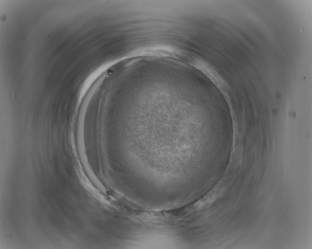 X0000083560960200702231600