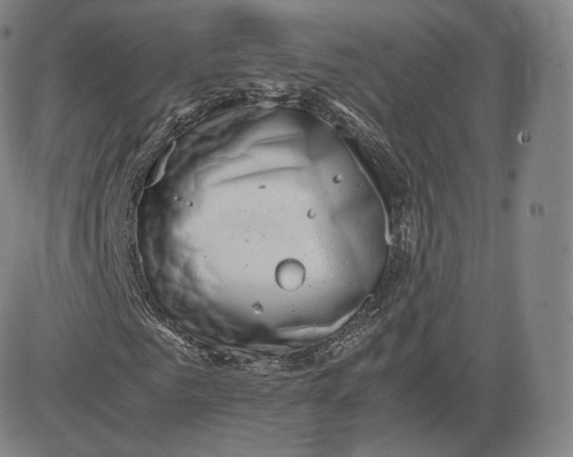 X0000083560961200702231559