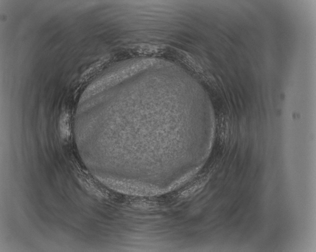 X0000083560962200702231559